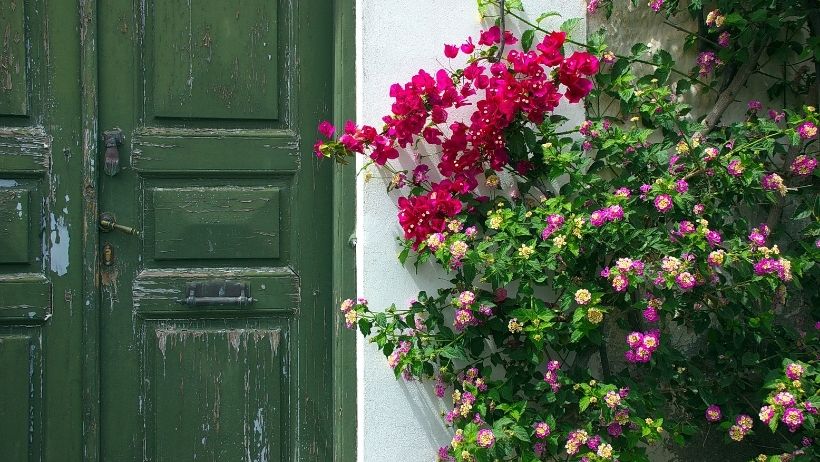 ferryscanner-greece-spetses