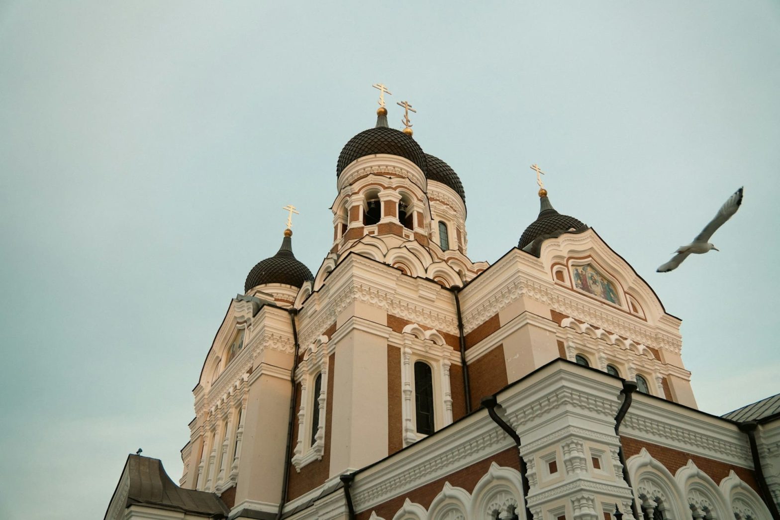 A stone church with a tall, pointed steeple seen against a clear sky, with a single bird in mid-flight crossing the frame in front of the steeple.