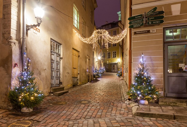 Stradina del centro storico di Tallinn decorata con luci natalizie e piccoli alberi illuminati, che creano un’atmosfera calda e accogliente durante l’inverno.