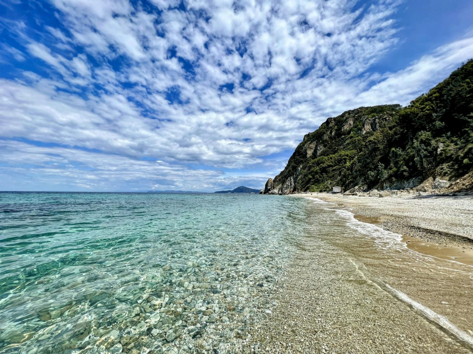 Costa dell’Isola d’Elba con mare limpido e scogliera verde.
